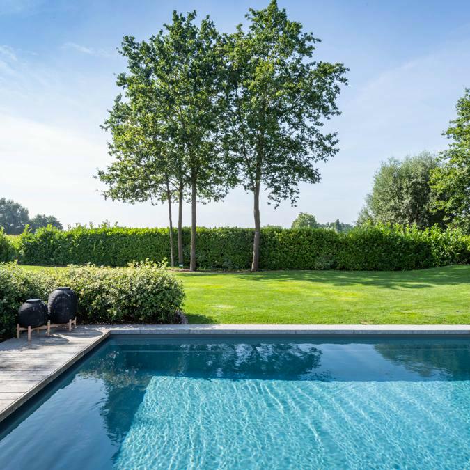 Totaalconcept - zwembad / poolhouse&nbsp;/&nbsp;tuin	Afmetingen: &nbsp;10&nbsp;x 4 x 1,5 m	Kleur